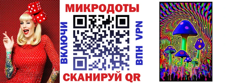 Псилоцибиновые грибы Psilocybine cubensis магазин продажи Бодайбо